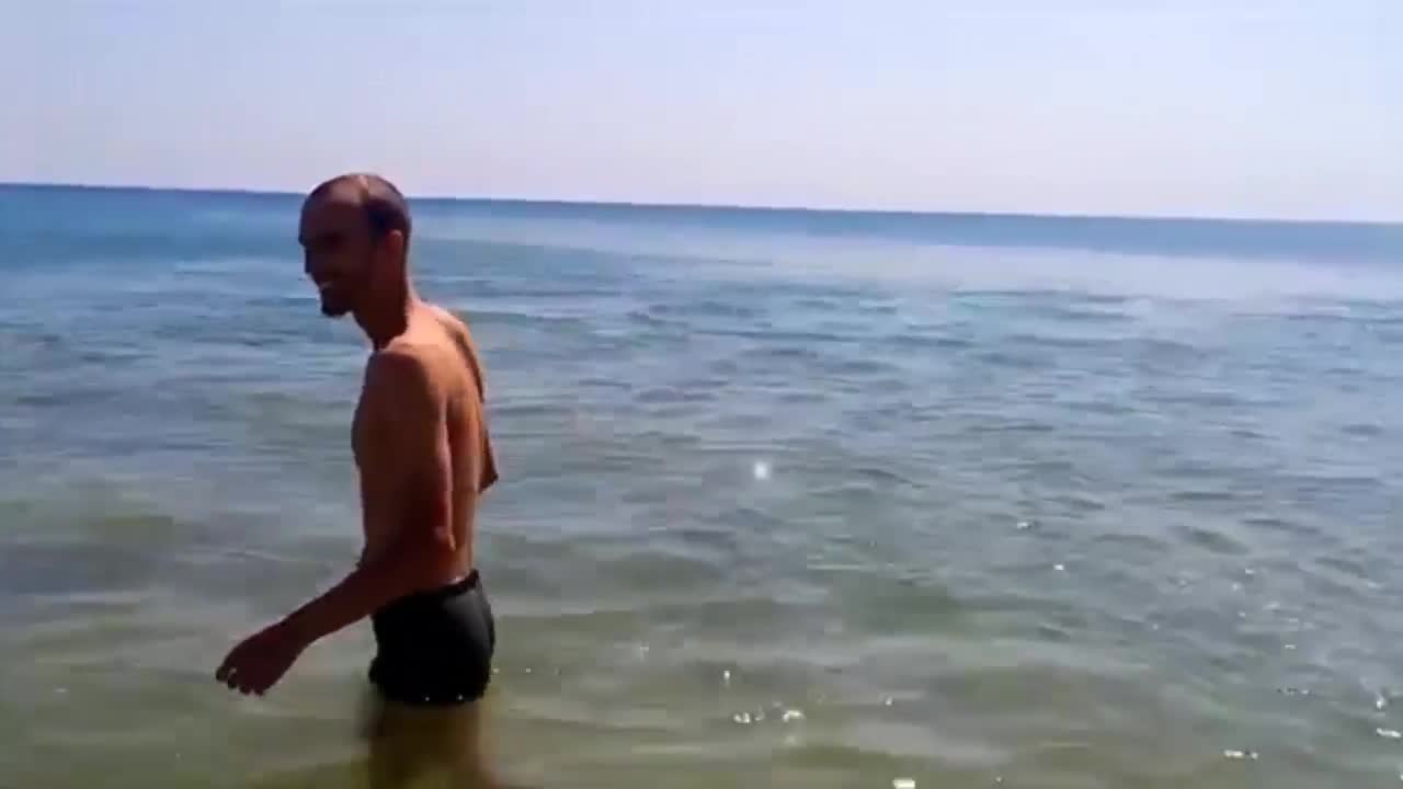 Делфин забавлява хората на плажа