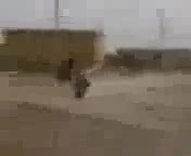 Арабин се учи да кара Мотор ! Смях !
