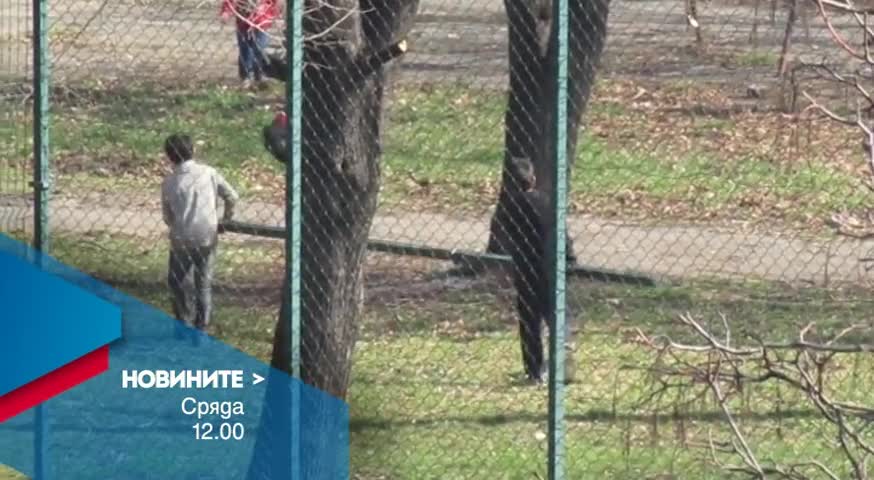 Новините на Нова – обедна емисия на 9 март