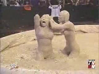 Wwf - Женски Бой В Нещо Като Кал
