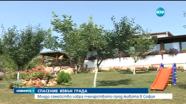 Младо семейство избра пчеларството пред живота в София