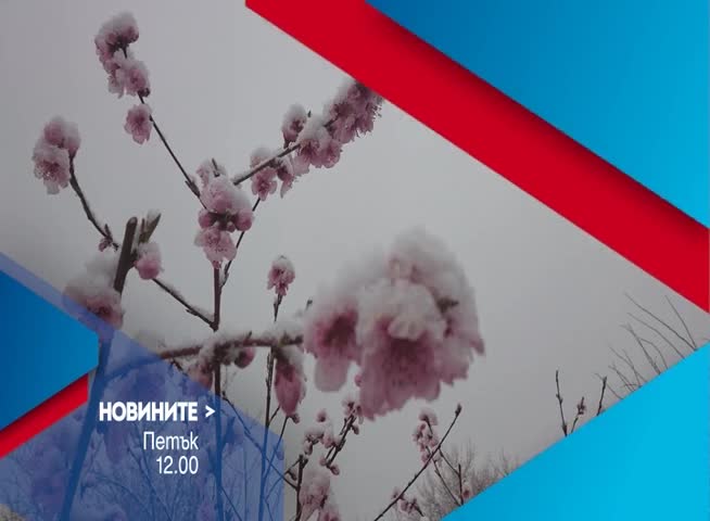 В Новините на NOVA от 12.00 ч. на 10 март очаквайте