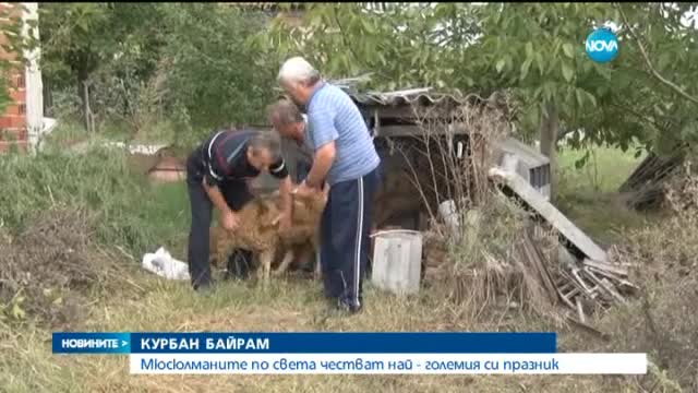 Мюсюлманите честват Курбан байрам