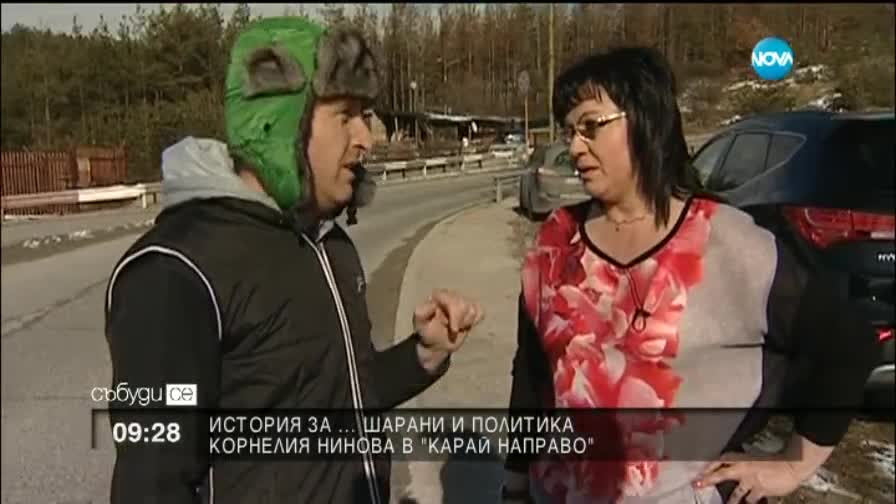 История за ... шарани и политика