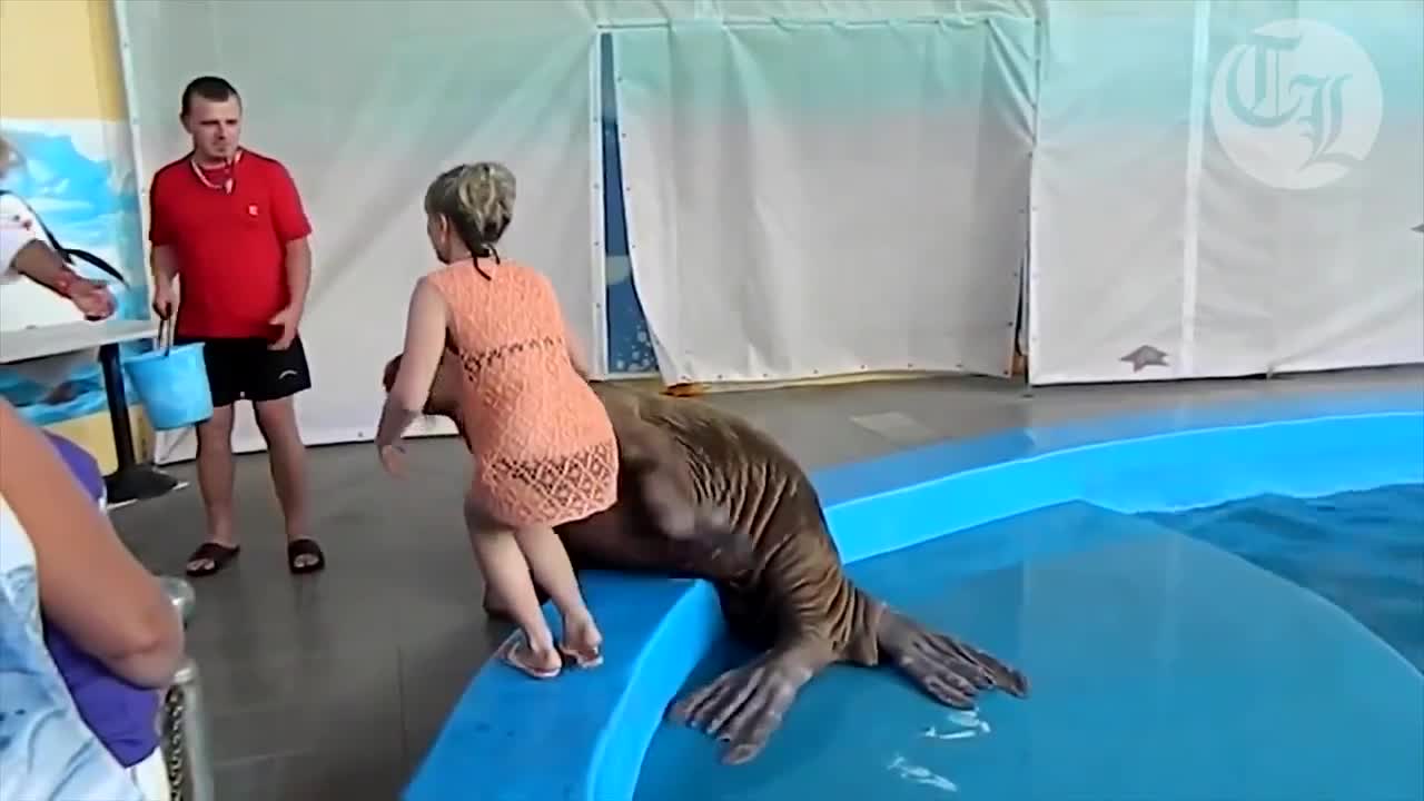 Морж потупва жена по дупето