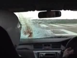 Птица Се Удря В Кола С 240 км 