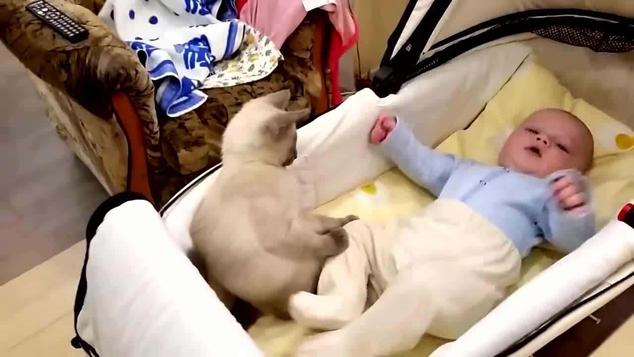 Котка се опитва да успокои бебе, което бушува в кошарата си!