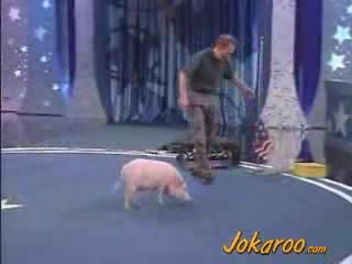 Animal Planet - Прасе Прави Номера