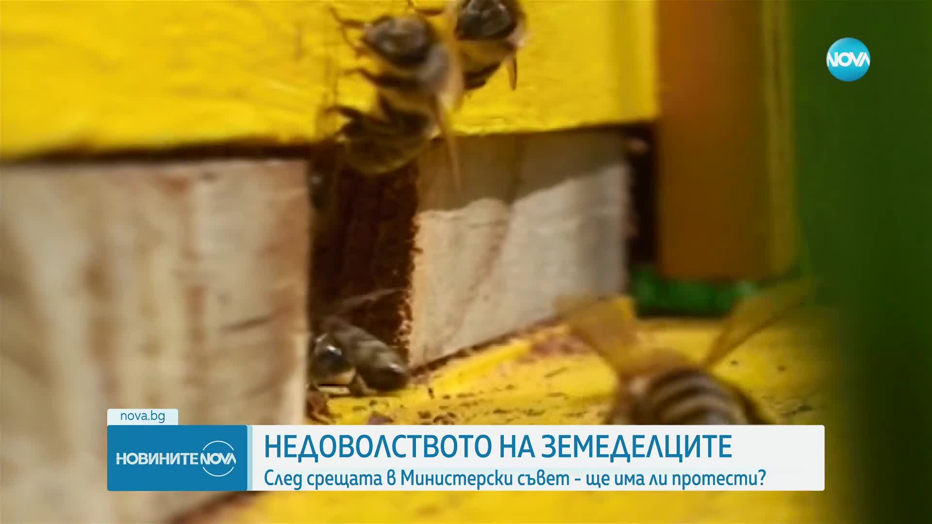 След срещата в МС: Ще излязат ли на протест зърнопроизводителите