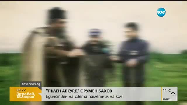 "ПЪЛЕН АБСУРД": Единствен на света паметник на коч