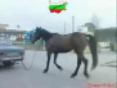 Бг Смях 2 Гледай Задължително