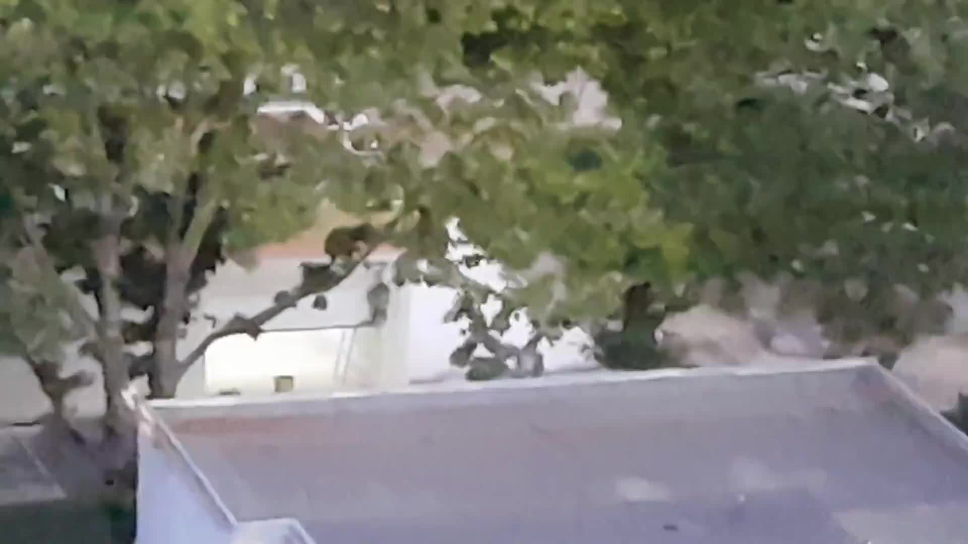Шум от строеж в ранни зори