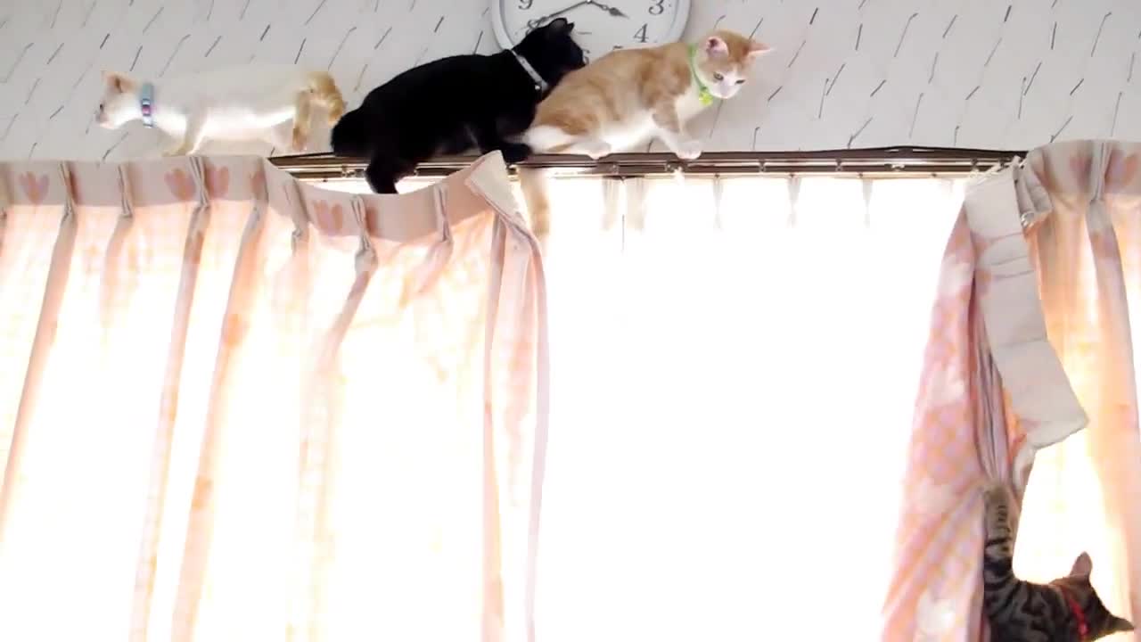 Банда Котета .. Сладури ..