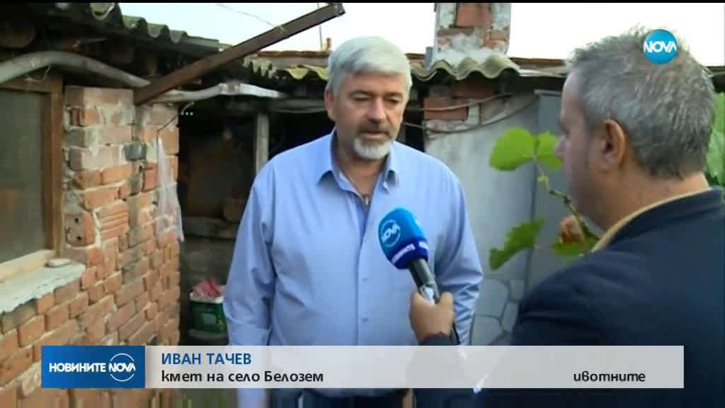 Кметове на бунт заради умъртвяването на домашни прасета