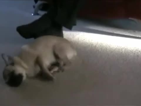 Мозъка ви се нуждае от това видео !