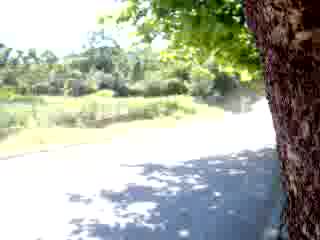 Rally Bulgaria 2007 - Muhovo