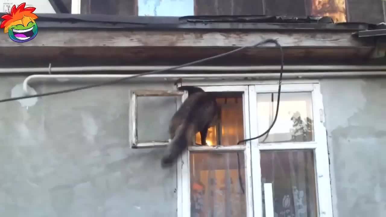 Най-лудите изцепки в света - Много смях