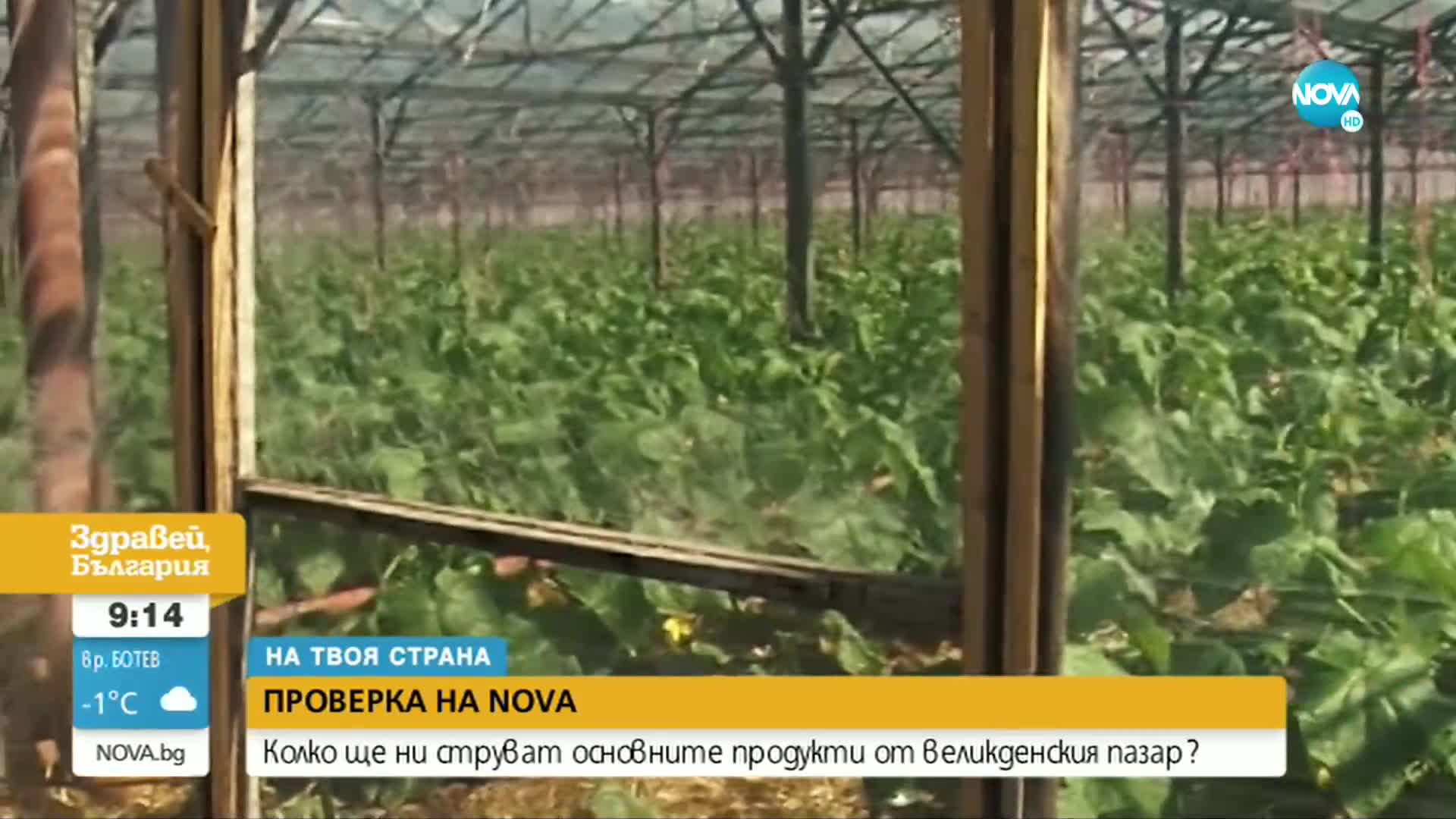 Колко ще ни струва великденската кошница в магазина