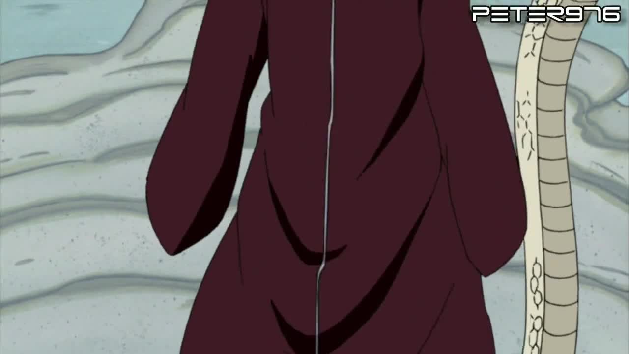 Naruto Shippuuden 255 [bg Sub] / H D /