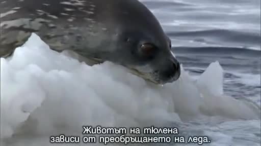 Замръзнала планета: Към краищата на Земята! ( Част 2/2 )