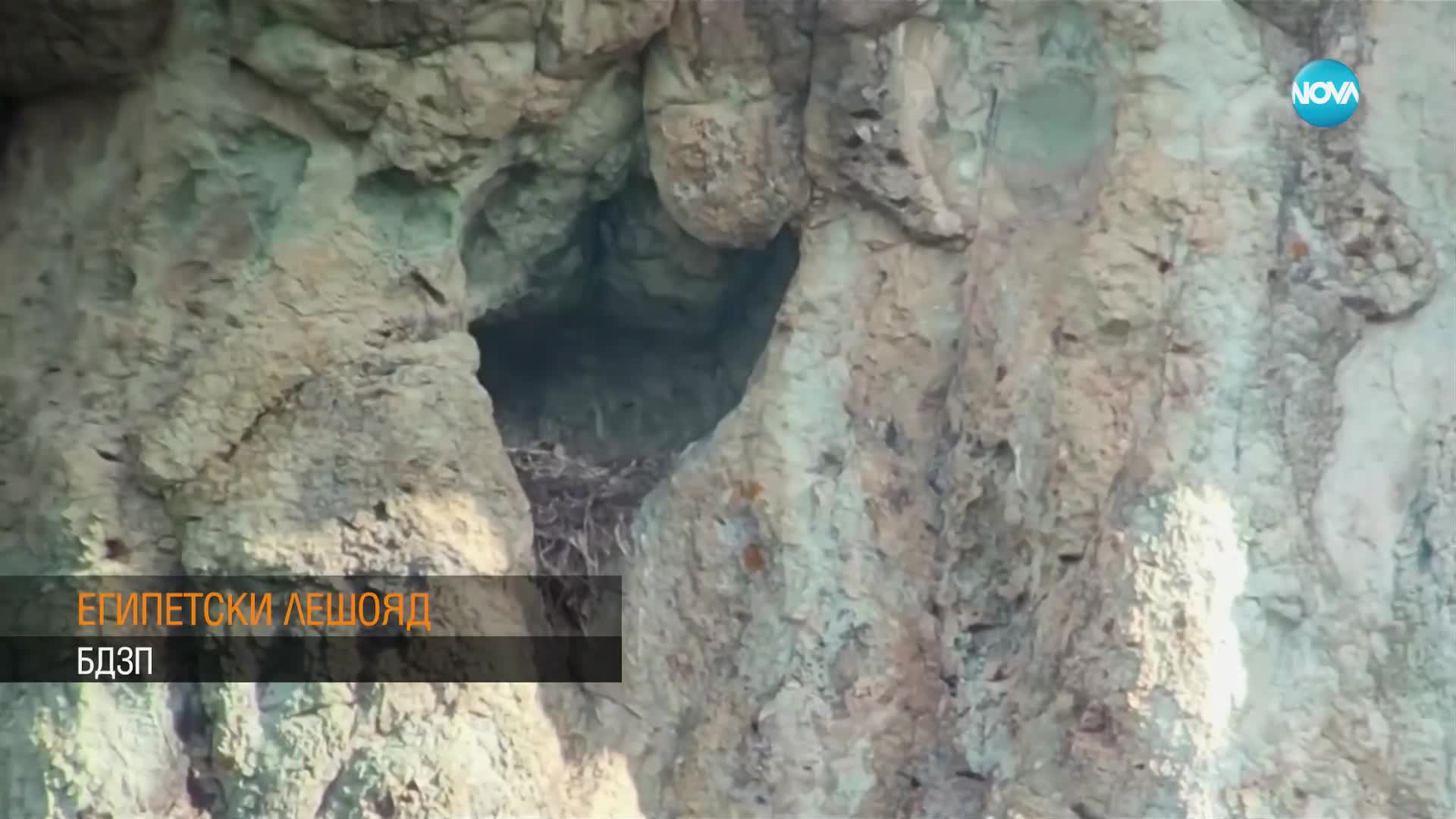 Опасни юлски жеги и висок риск от пожари