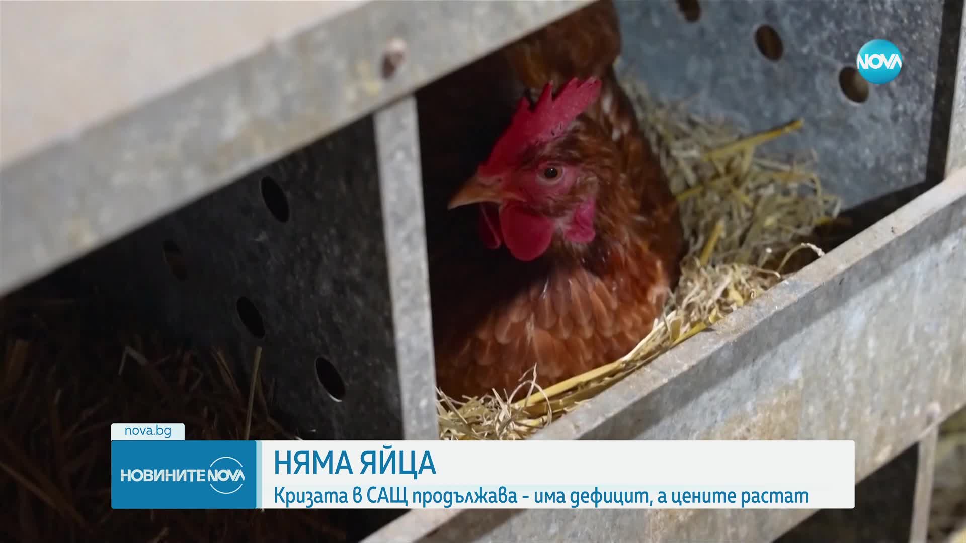 Новините на NOVA (21.02.2025 - 7.00)