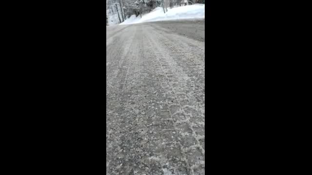 "Моята новина": Сол в парк Витоша