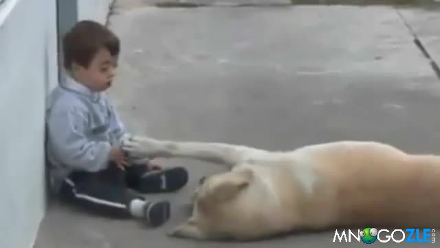 Kогато думите са излишни