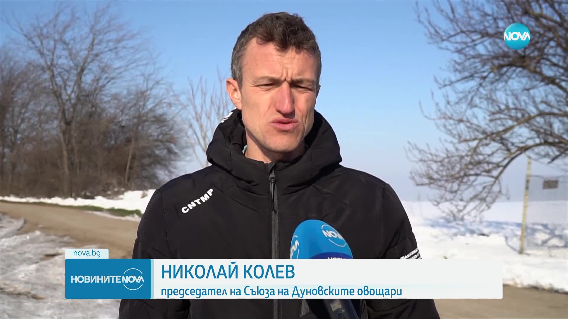 Заради студа: 80% от реколтата на кайсии в Североизточна България е унищожена