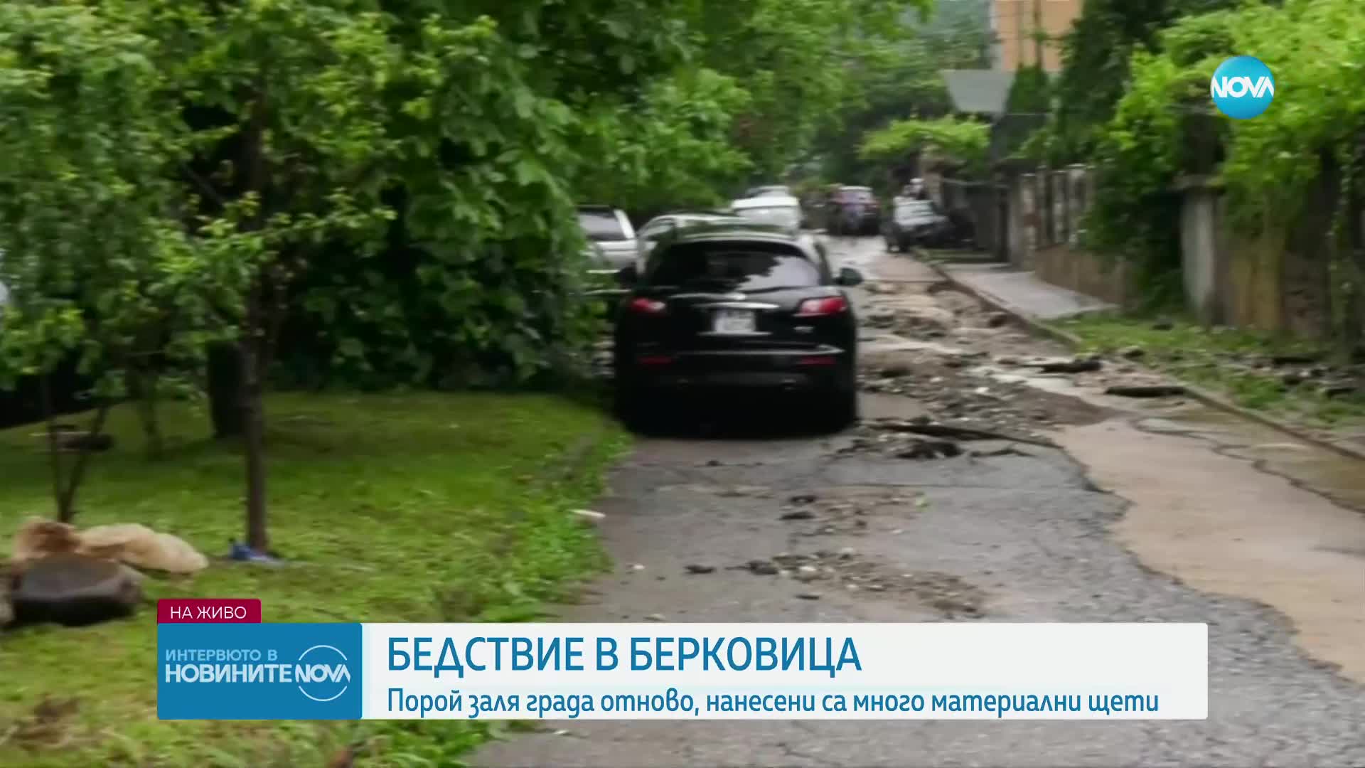 Бедствие в Берковица