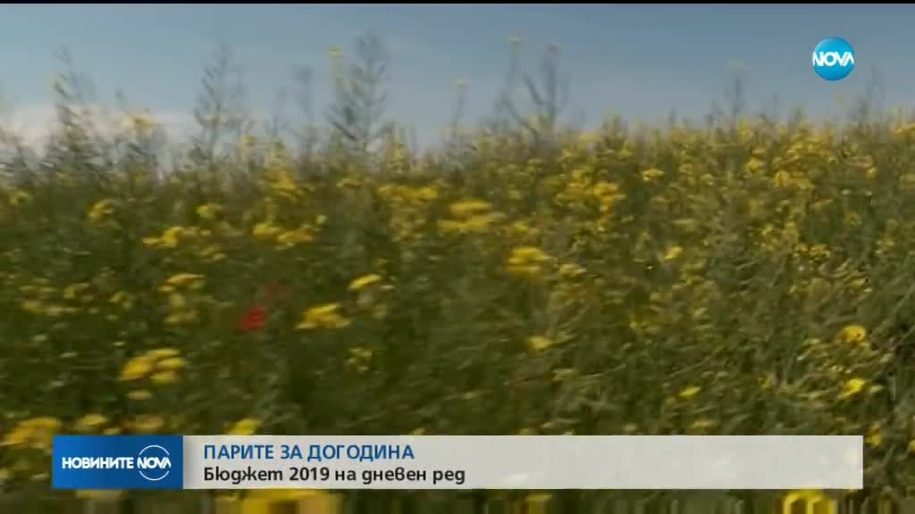 Новините на NOVA (22.10.2018 - 7.00 ч.)