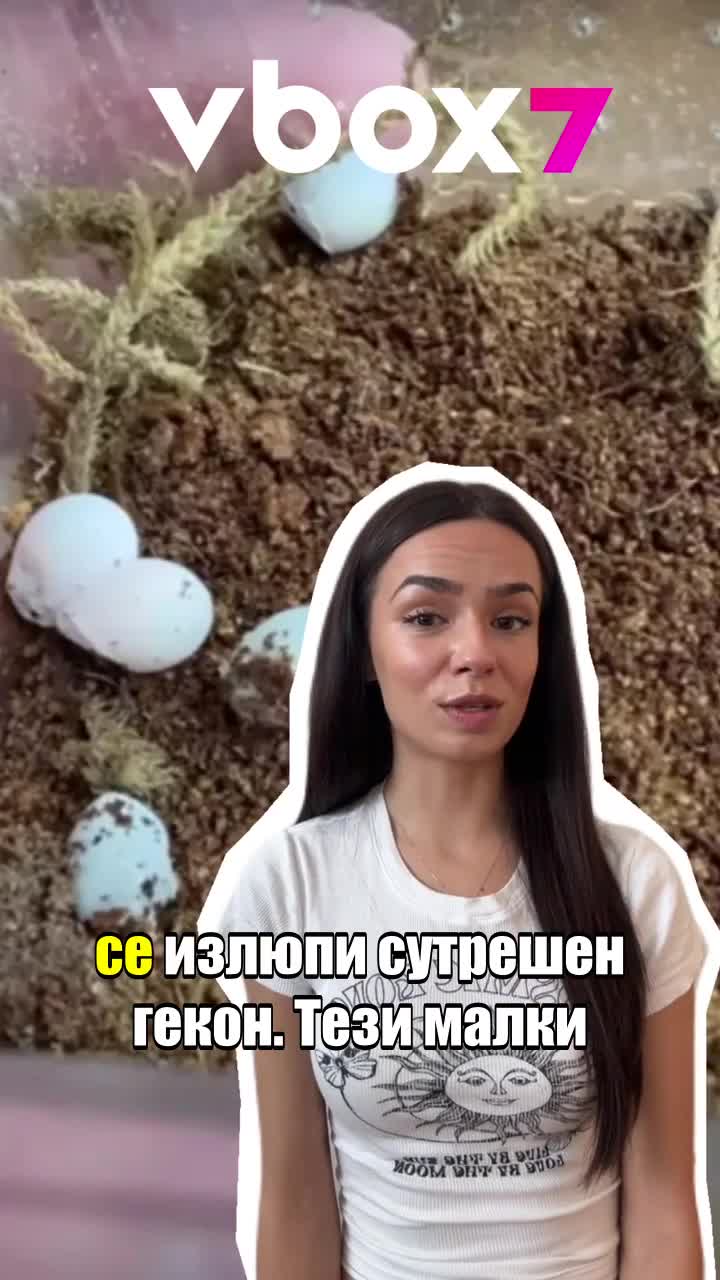 Човек купува мистериозно яйце на влечуго, за да види какво има вътре🥚🦎
