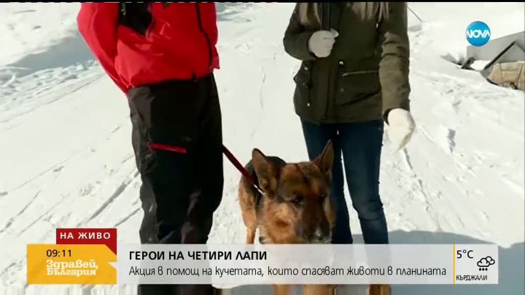 Стартира кампания в помощ на кучетата, които спасяват хора в планината
