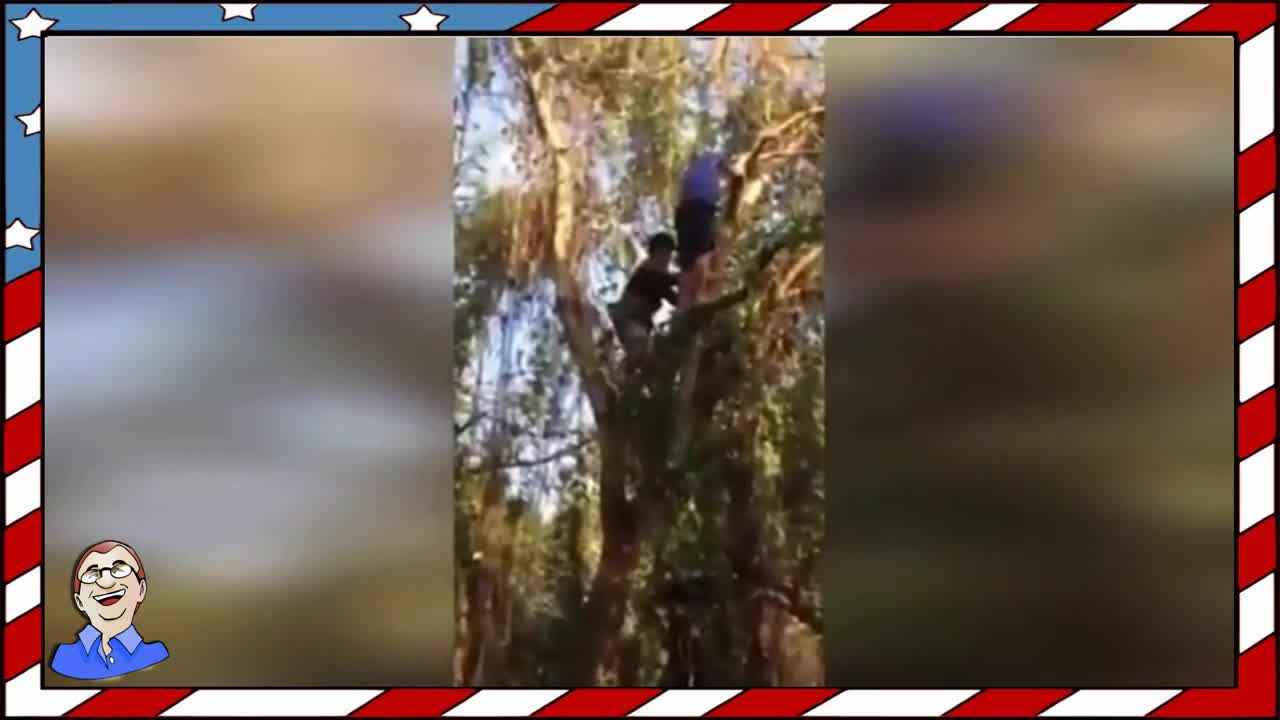 Тъпи, тъпи, колко да са тъпи?!