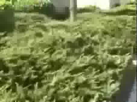 Човек Пада От Мотор И Си Къса Крака