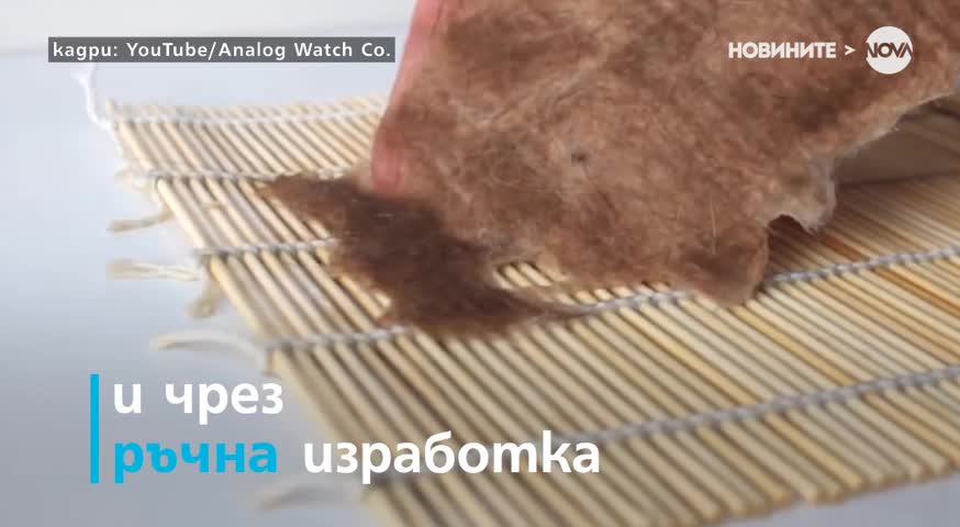 Как да увековечим домашния любимец?
