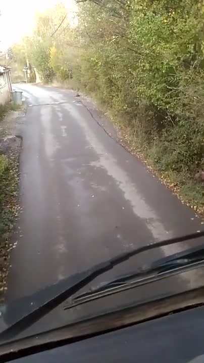 Кой е разрешил да се поставят тези легнали полицаи?