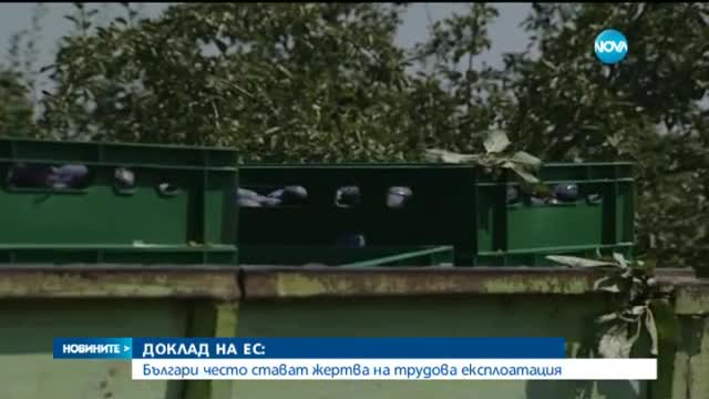Доклад на ЕС: Българите масово експлоатирани на работа в чужбина