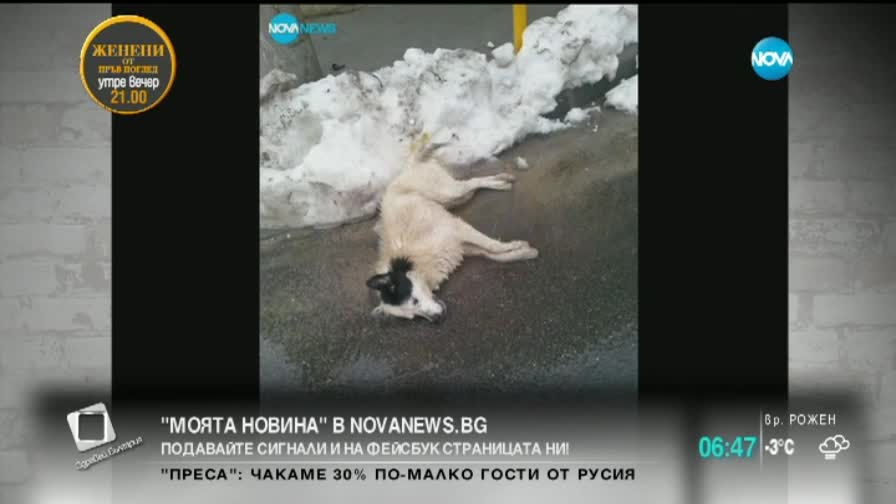 "Моята новина"