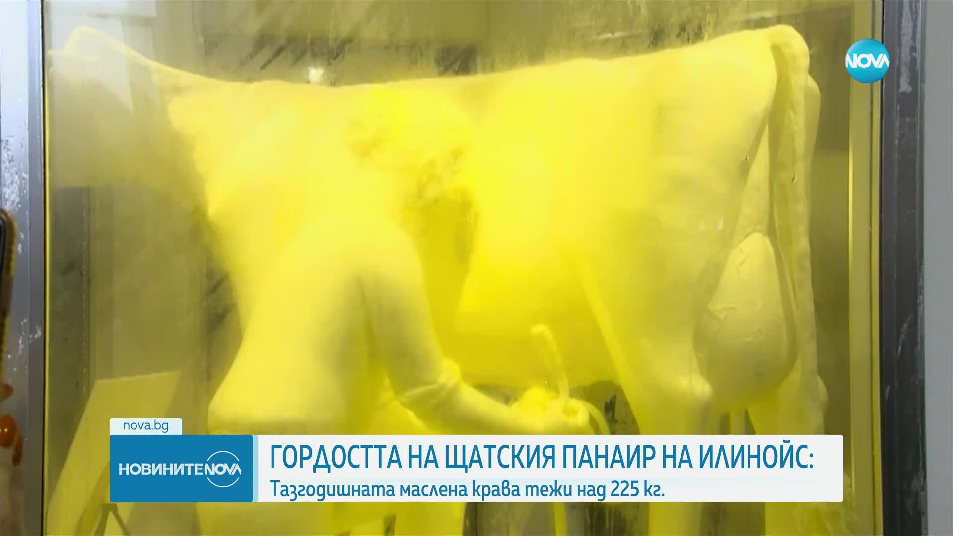 Направиха 225-килограмова скулптура на крава от масло