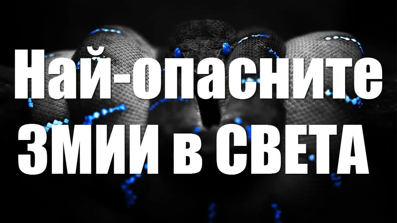 5-те най-опасни змии в света.
