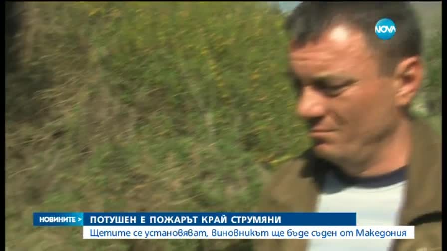 Овладян е пожарът в Струмяни