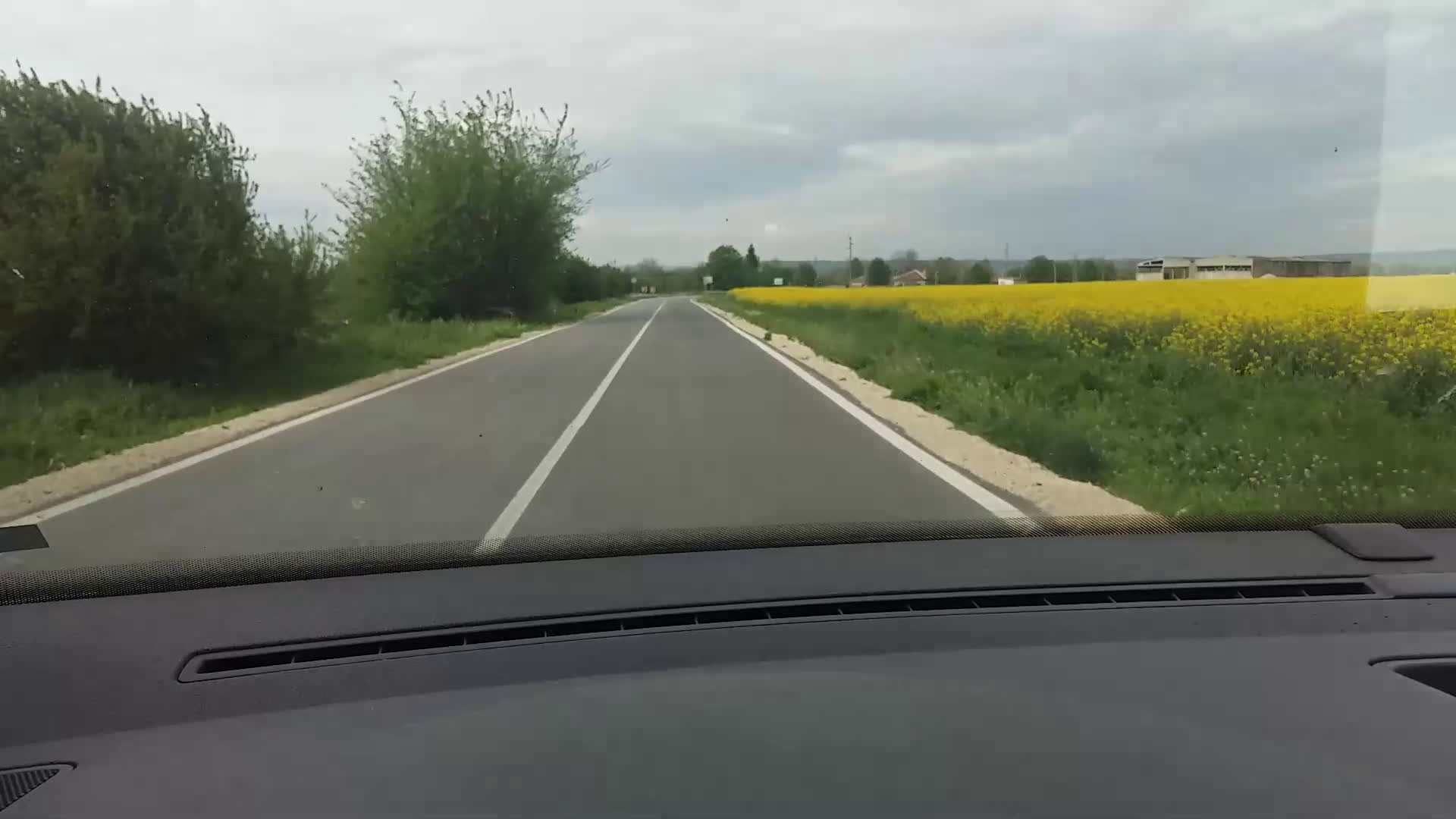 Дунавски вълни