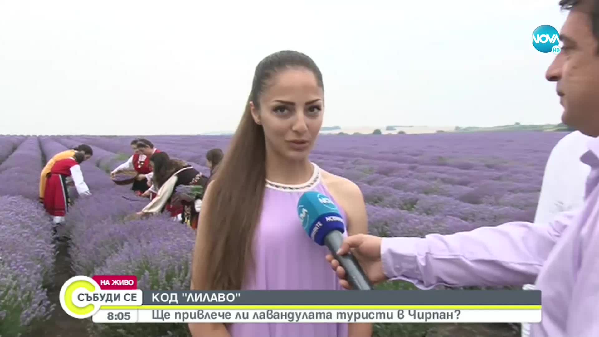 В Чирпан стартира Международен фестивал на лавандулата