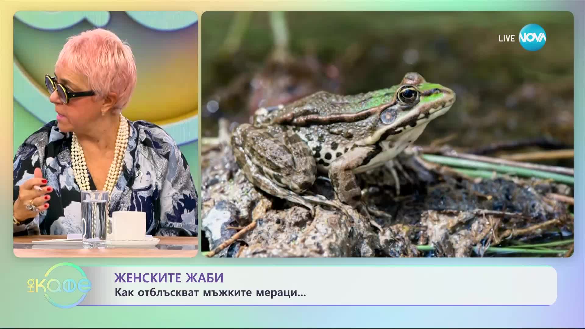 Женските жаби: Как отблъскват мъжките мераци ... - „На кафе” (16.10.2023)