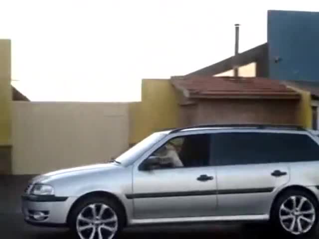 Куче Кара Кола!