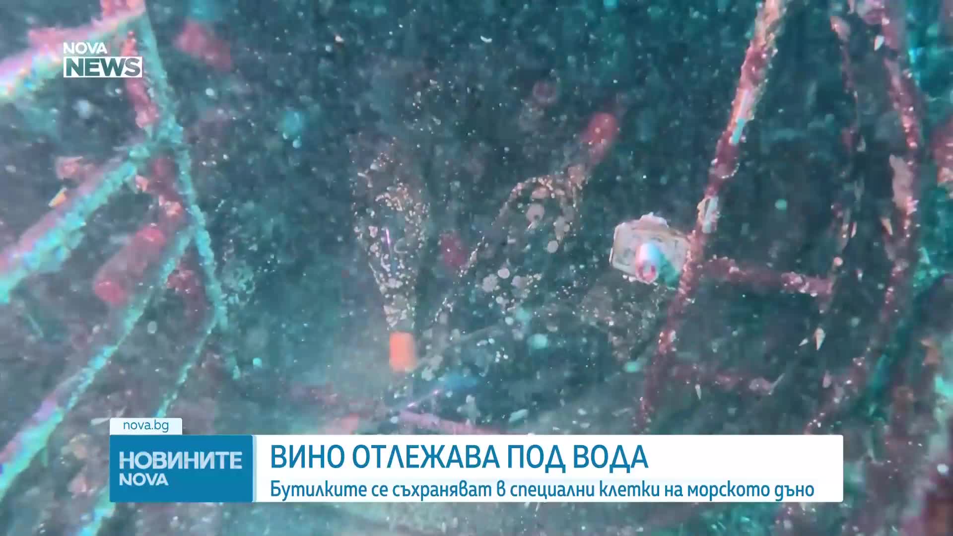 Подводна изба: Как вино в Чили отлежава на дъното на океана