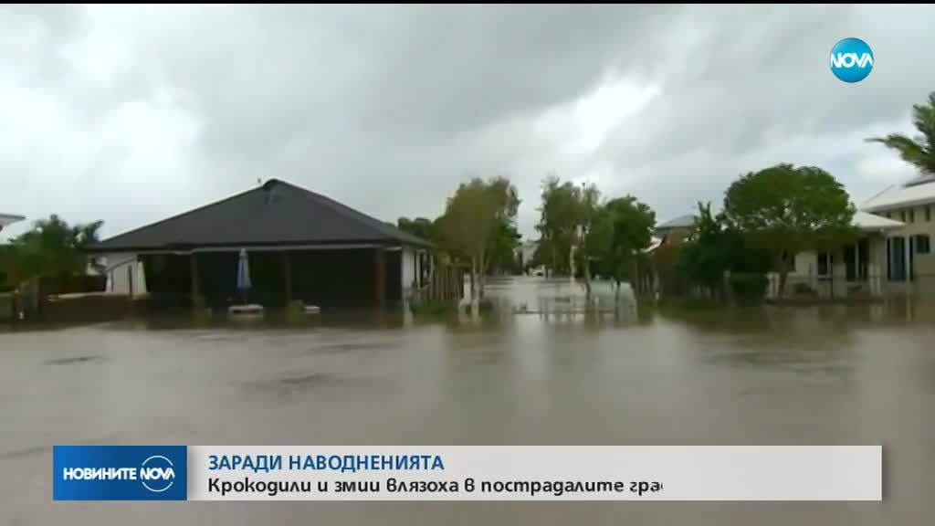 Крокодили и змии влязоха в пострадалите градове в Австралия заради наводненията