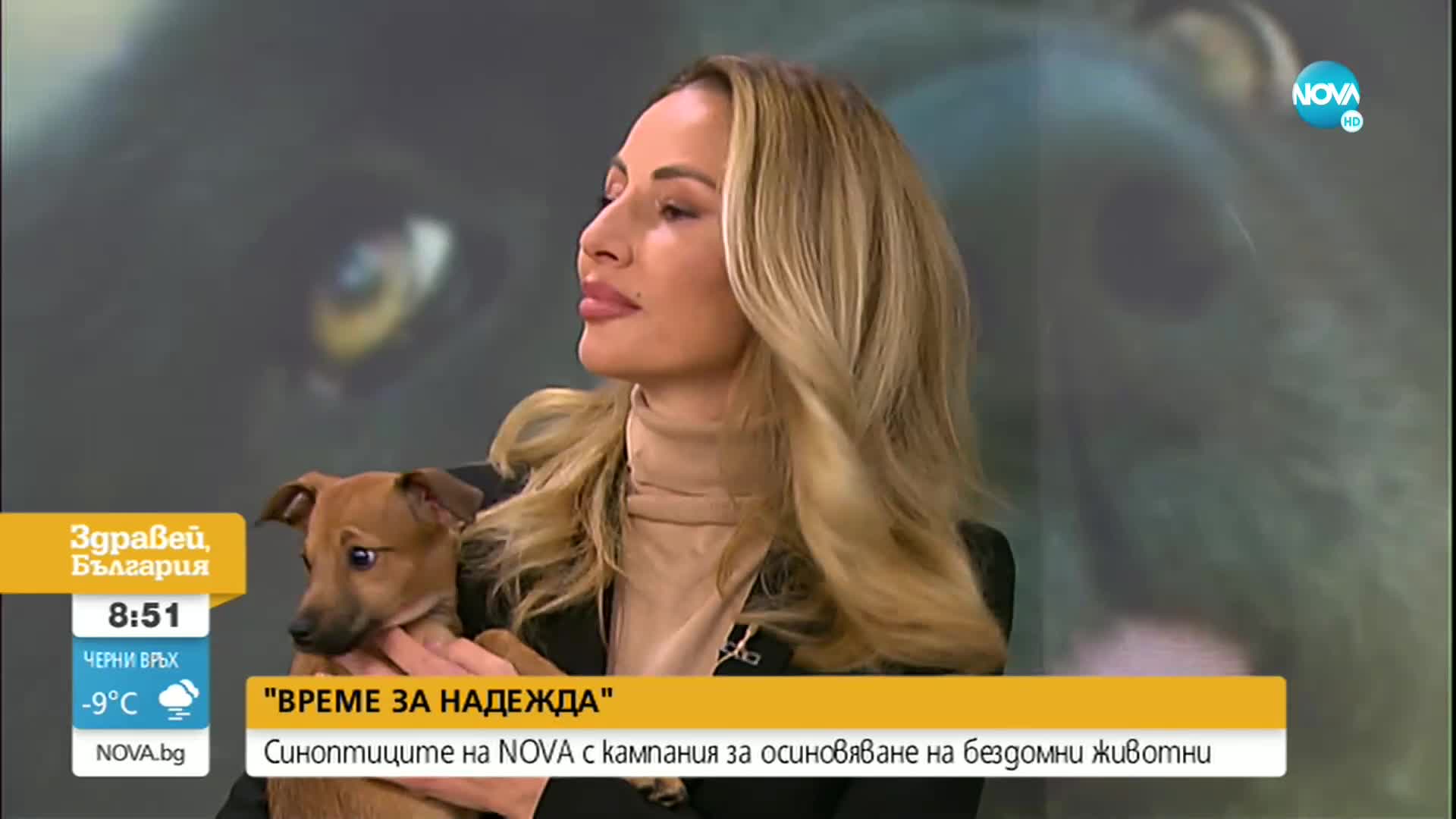 ВРЕМЕ ЗА НАДЕЖДА: Синоптиците на NOVA с кампания за осиновяване на бездомни животни