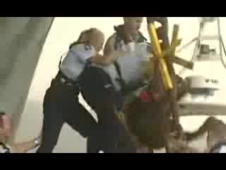 Greenpeace - Едно Видео за което не може да се преразказва